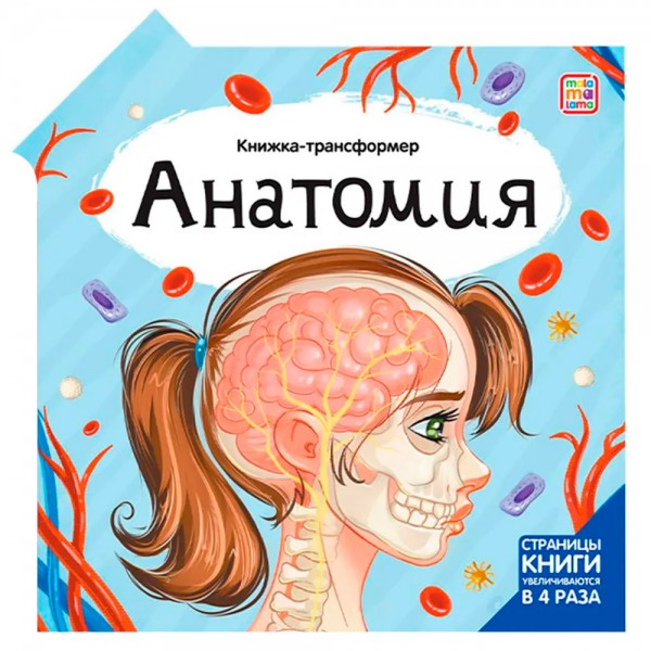 Книжка-трансформер, Анатомия, 978-5-00134-922-8