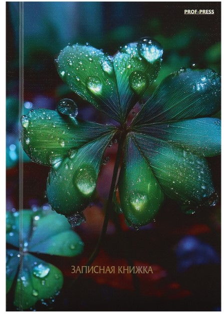 ЗАПИСНАЯ КНИЖКА. А6 80л КРАСИВАЯ ПРИРОДА, ЗК80-0078