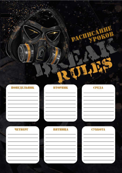 Расписание уроков, 'Феникс +', в ассортименте, 64652;43;53;47;41;49;39