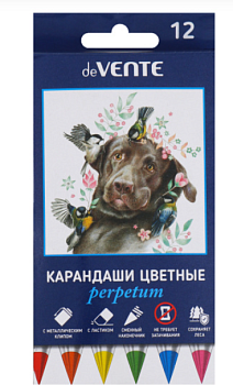 Карандаши цветные 'deVENTE. Perpetum' 12 цветов, вет корпуса соответствует цвету грифеля, 5022427