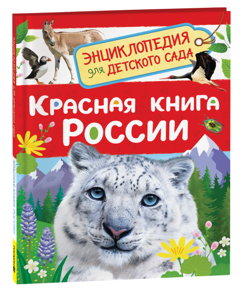 image_large_1c370531993311ef95d000505682e397