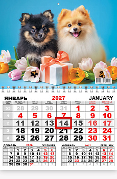 Календарь квартальный одноблочный, 2027 год, 'Собаки', ККМ-27-012