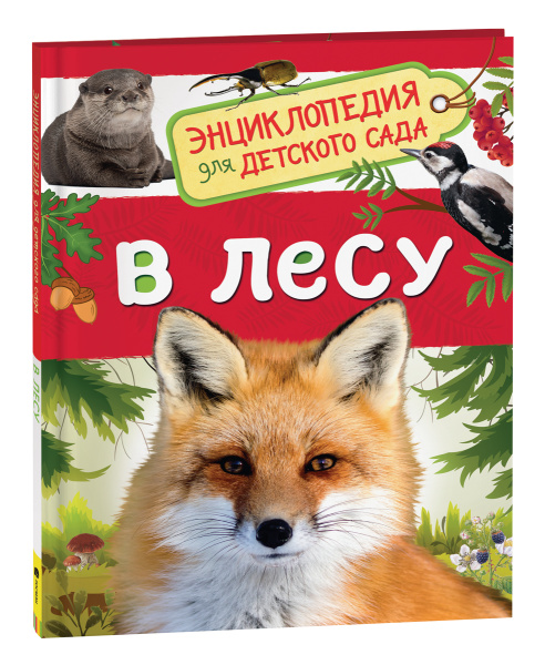 image_large_74c9f17f2da611ee9e70ac1f6bd74cbc